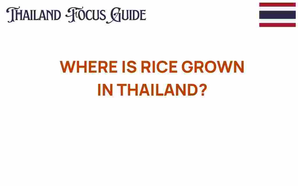 where-rice-is-grown-in-thailand