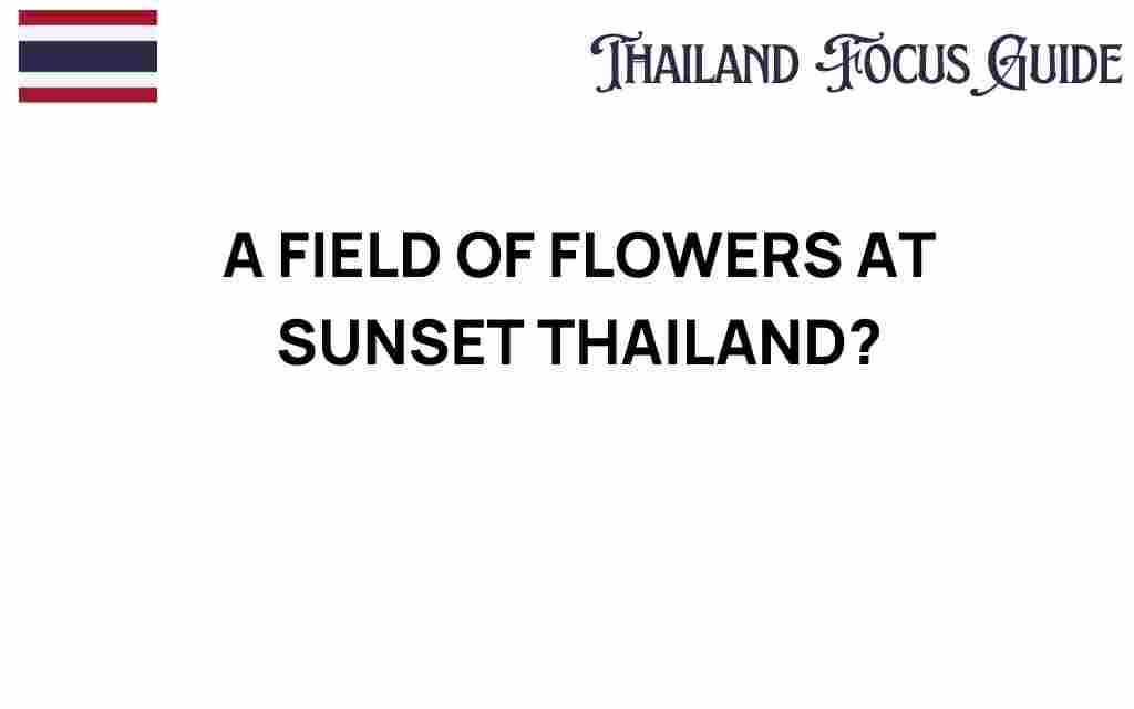 enchanting-fields-flowers-sunset-thailand