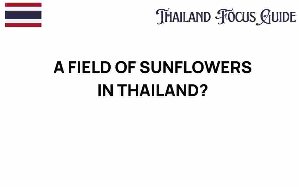 discover-sunflower-fields-thailand