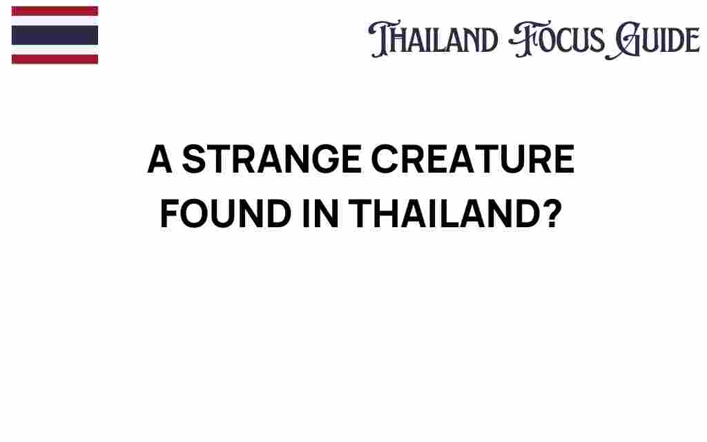 strange-creature-found-thailand