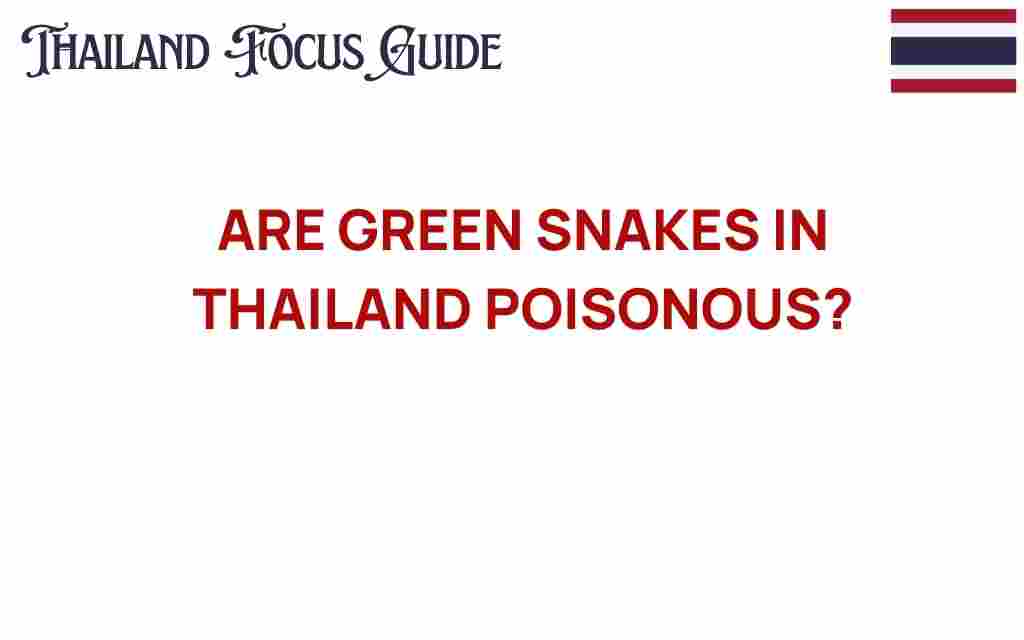 are-green-snakes-in-thailand-poisonous