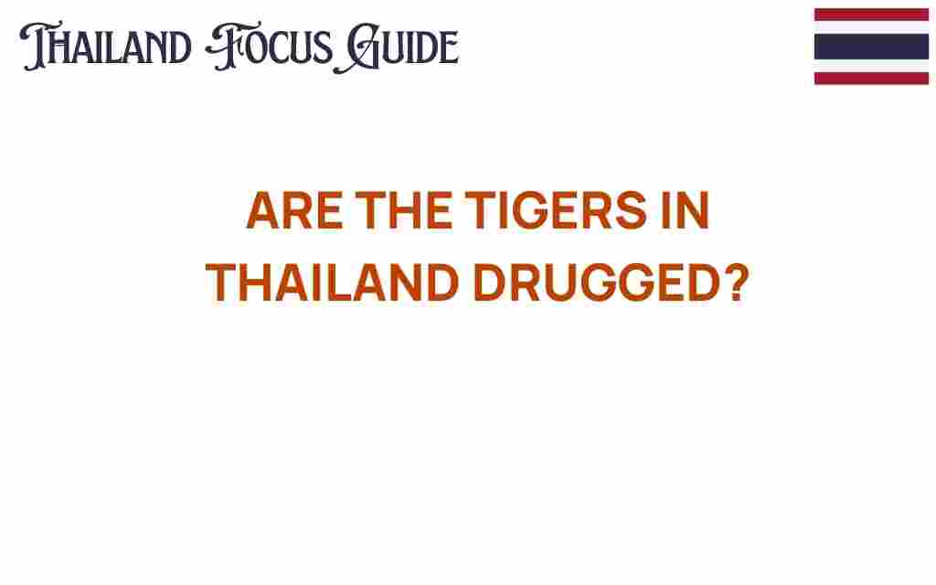 are-the-tigers-in-thailand-drugged