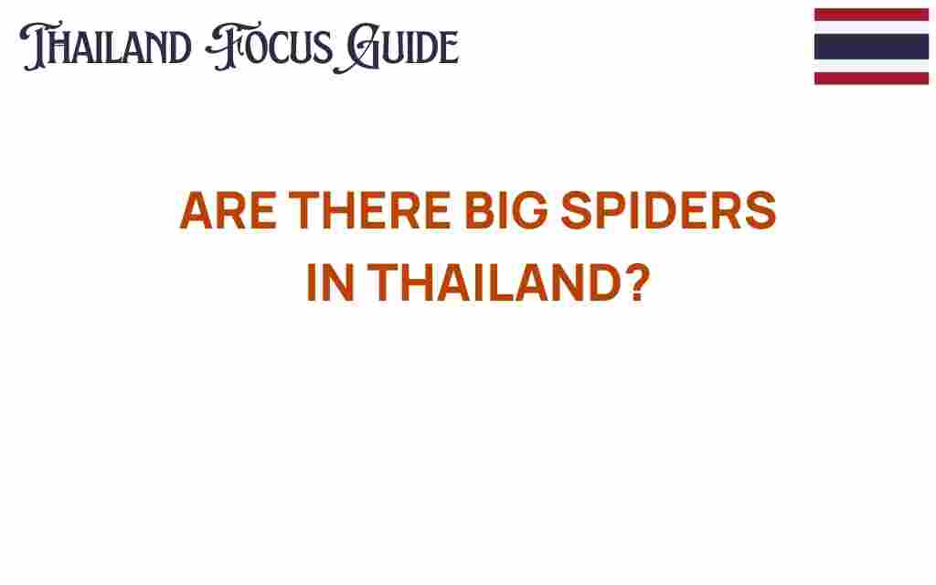 big-spiders-in-thailand