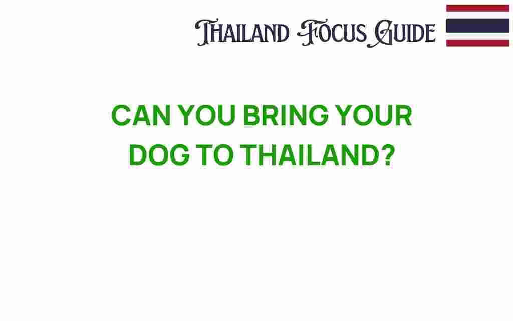 bring-dog-to-thailand-guide