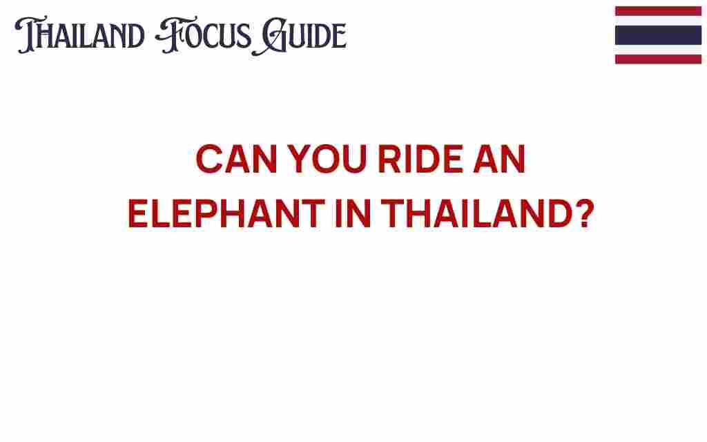 can-you-ride-an-elephant-in-thailand