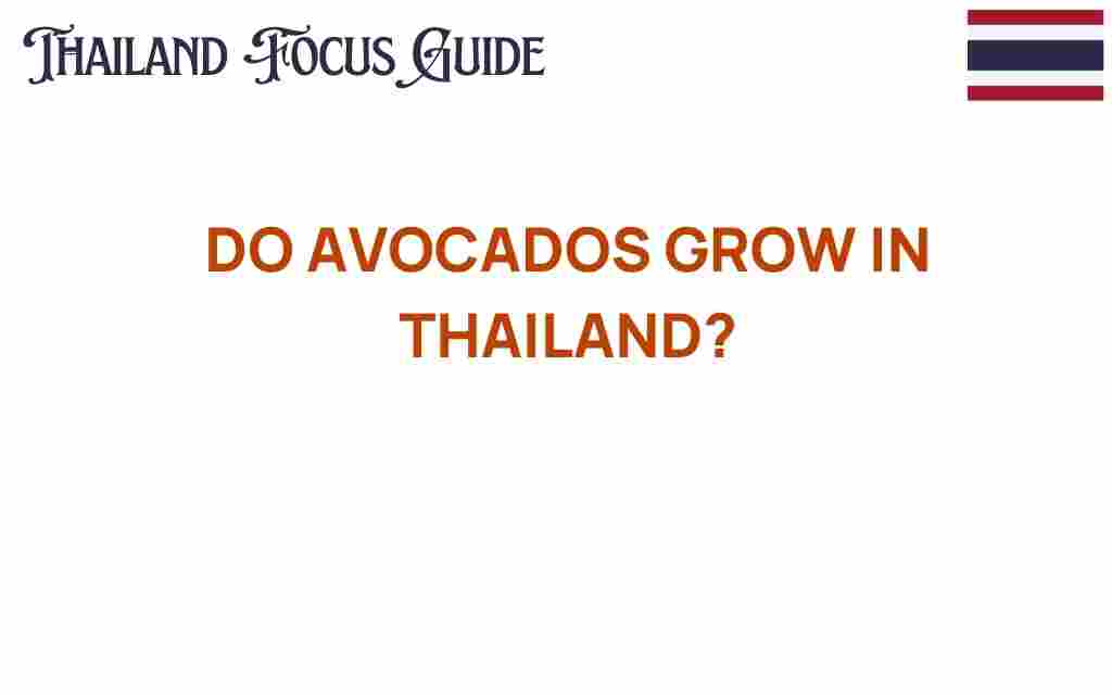 do-avocados-grow-in-thailand