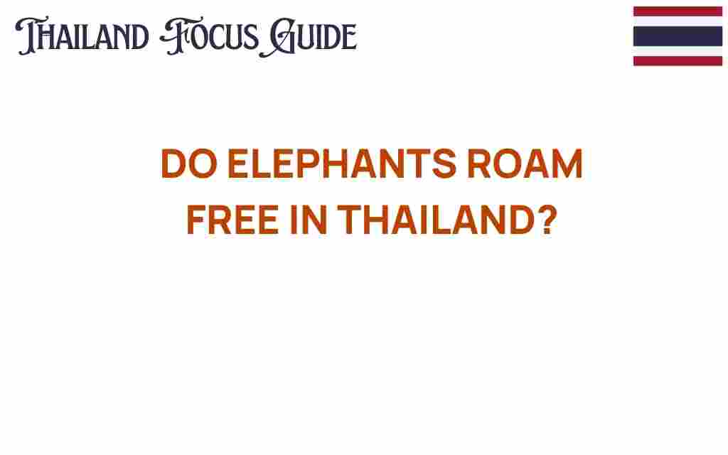 do-elephants-roam-free-thailand