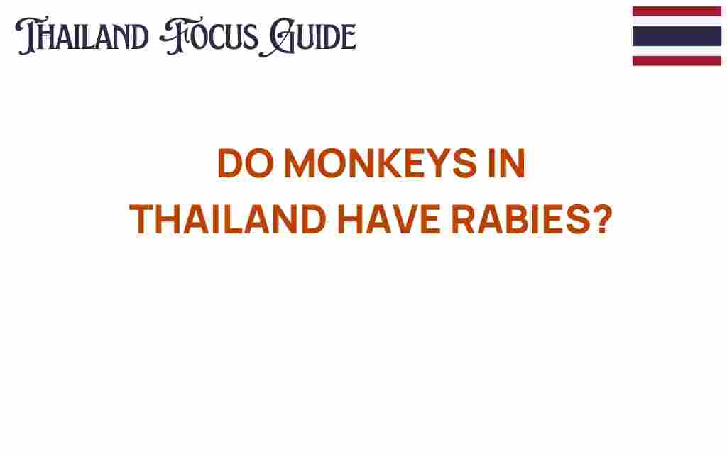 monkeys-in-thailand-rabies-threat