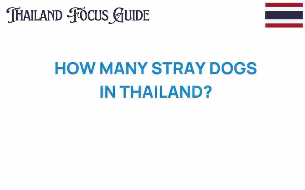 stray-dogs-in-thailand