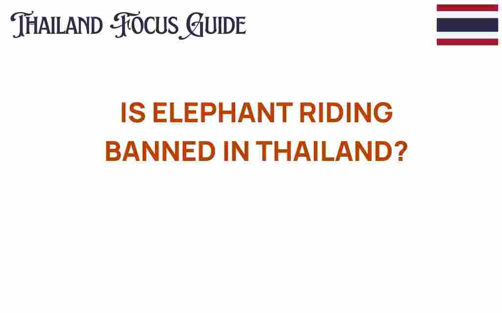 is-elephant-riding-banned-in-thailand