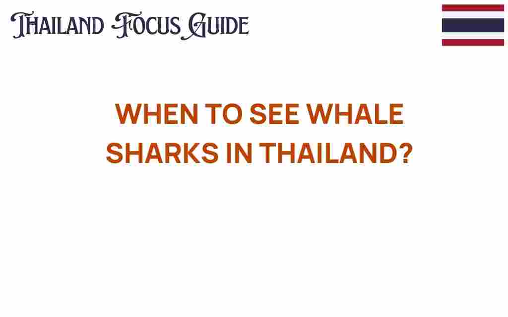 when-to-see-whale-sharks-thailand