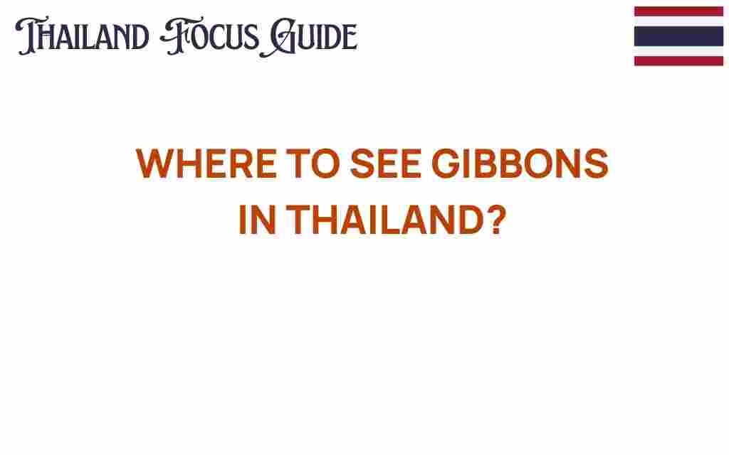 where-to-see-gibbons-in-thailand