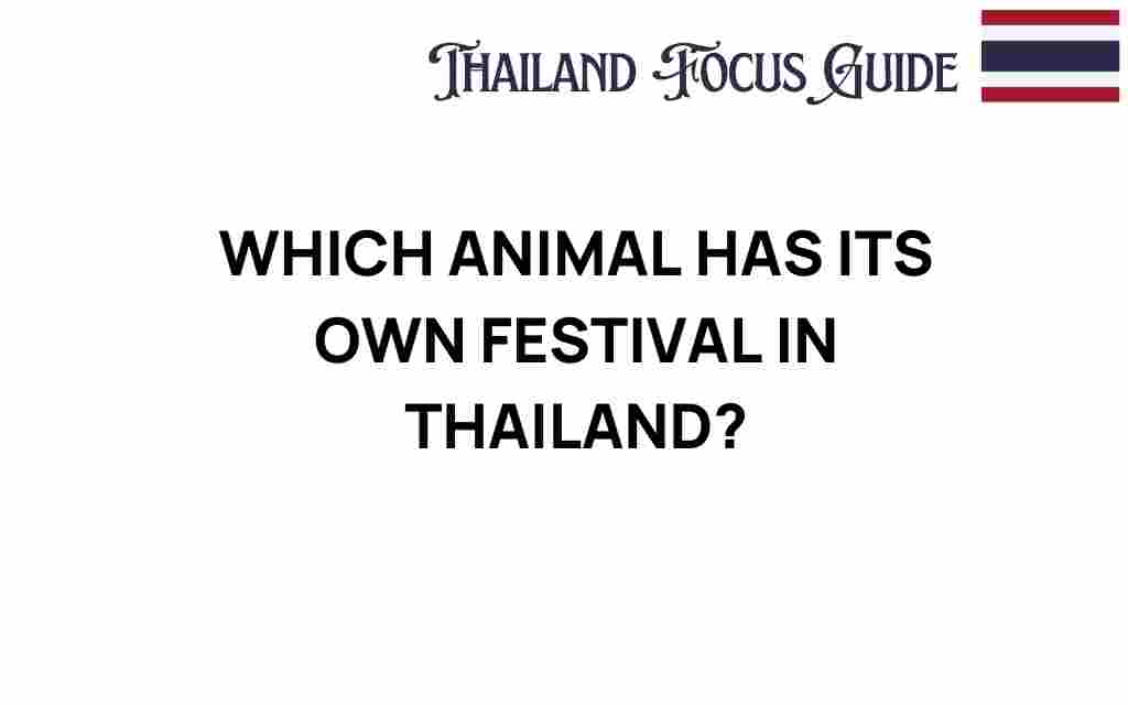 thailand-elephant-festival